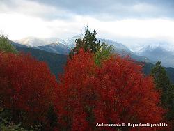 Oto&ntilde;o Andorra Pic de Carroi